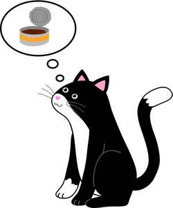 acclaim clipart: a pet cat thinking about a can of wet cat food