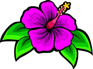 acclaim clipart: hibiscus flower