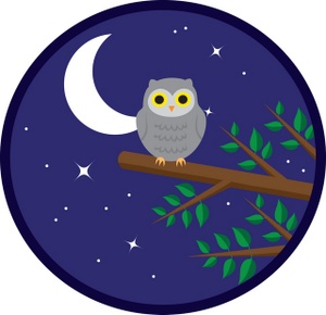 acclaim clipart: owl at night