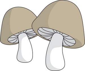acclaim clipart: two brown cartoon mushrooms